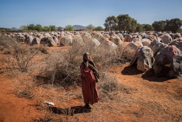 Женщина в Сомали Женщина в Сомали