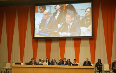 Innovative Practices for the Financial Inclusion and Economic Empowerment of Women, Especially Rural Women