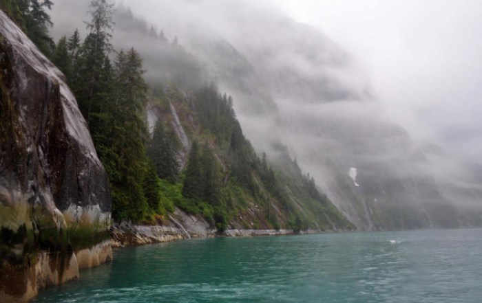Photo: Boreal forests line a misty fjord in southeast Alaska.